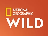 Логотип National Geographic