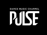 Логотип PULSE
