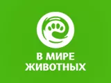 Логотип В мире животных
